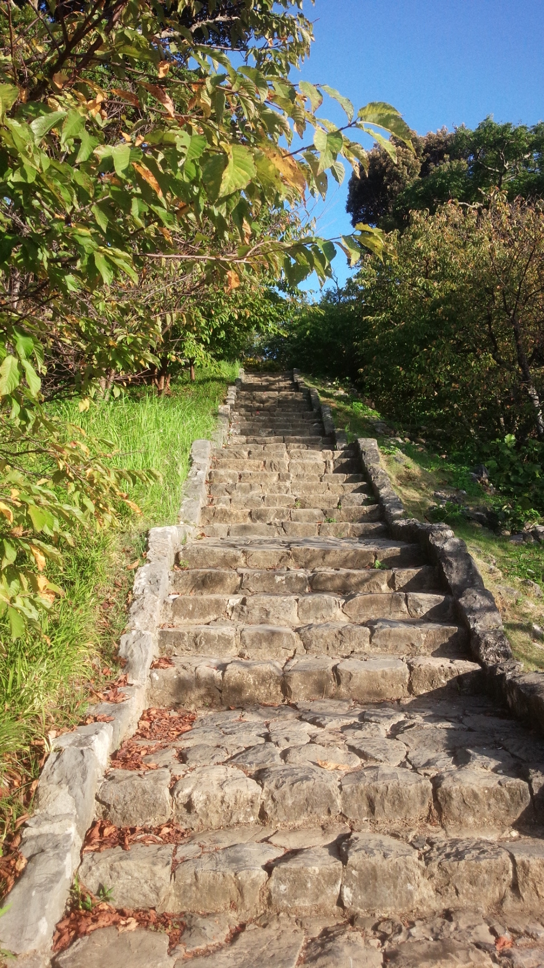 2016-08-27 17.27.50.jpg