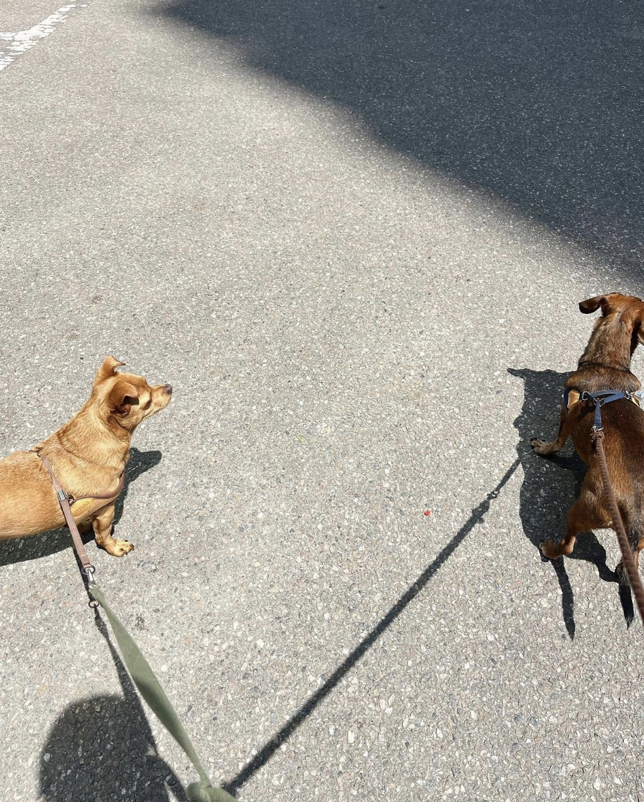 Screen Shot 2023-06-07 at 9.37.31 PM.jpg