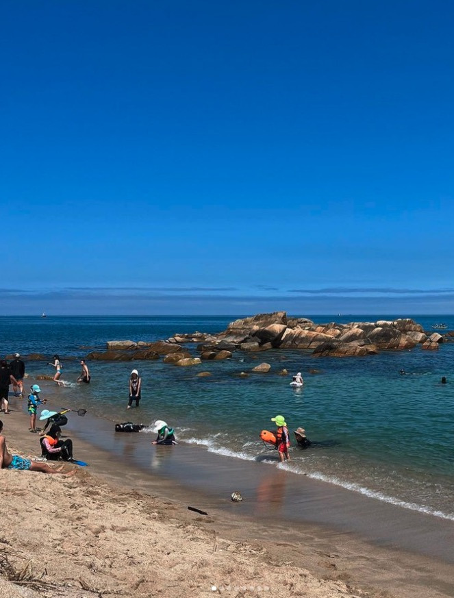 Screen Shot 2023-08-21 at 1.45.50 PM.jpg