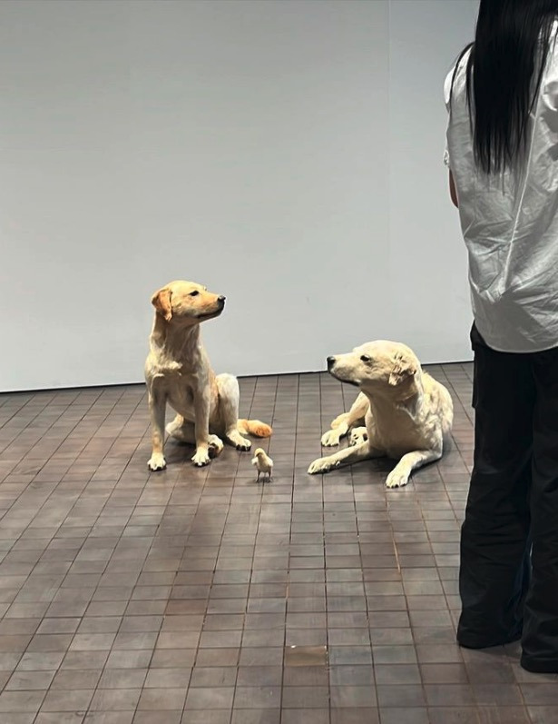 Screen Shot 2023-07-31 at 7.44.18 PM.jpg