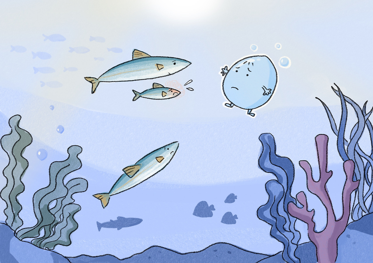 아리의 여행3.jpg