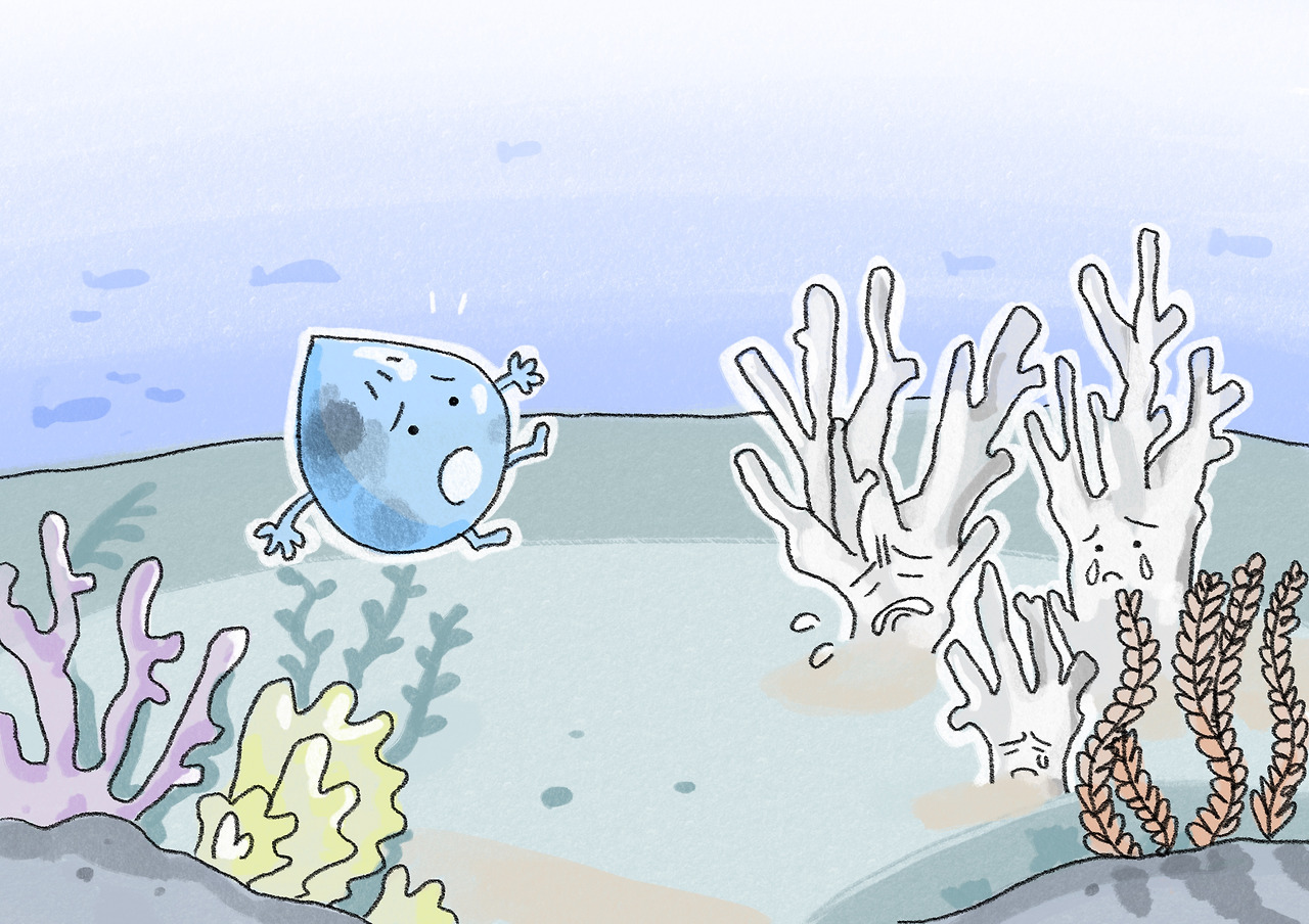 아리의 여행4.jpg