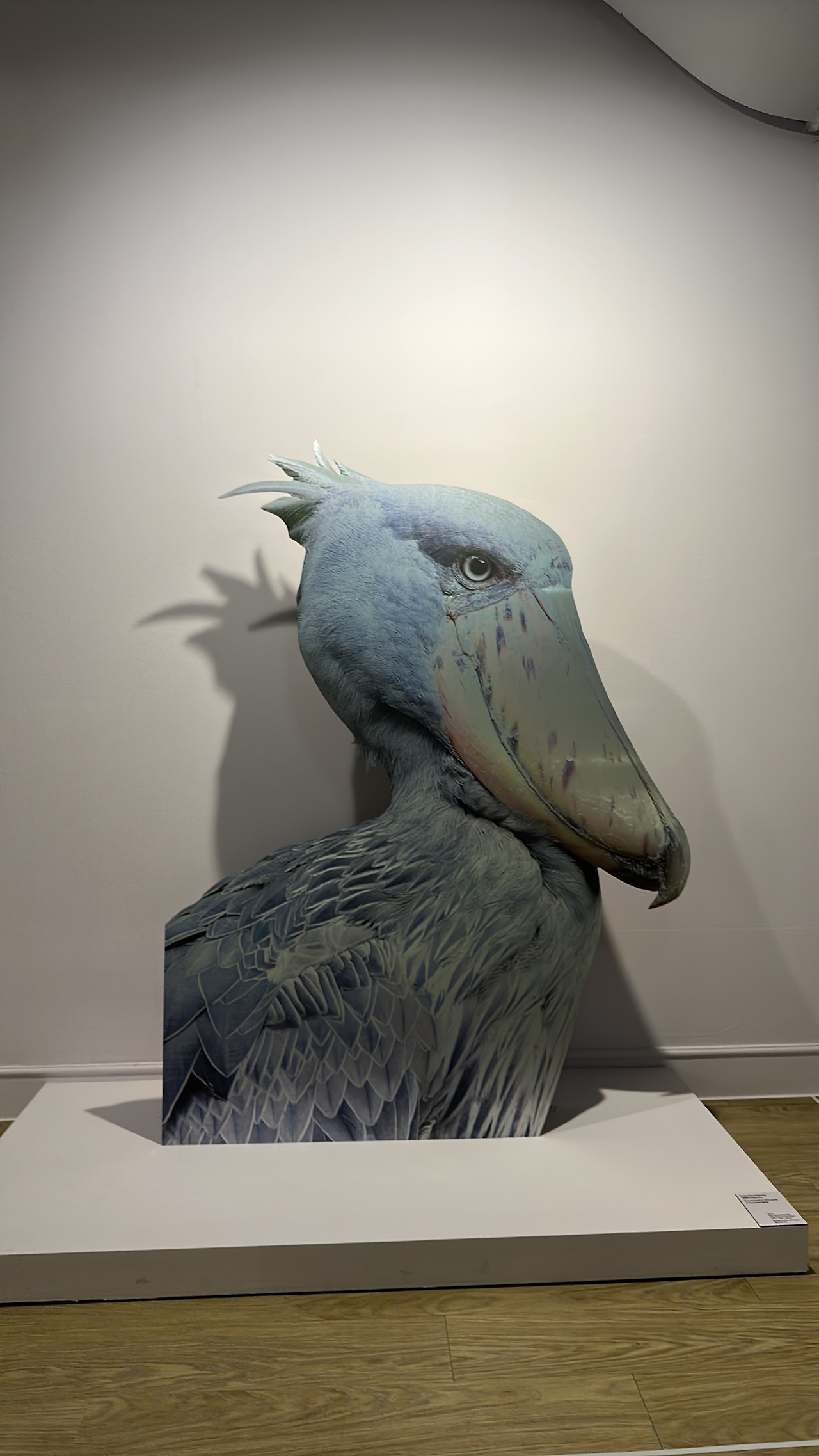 피카소와20세기거장들 (16).jpg