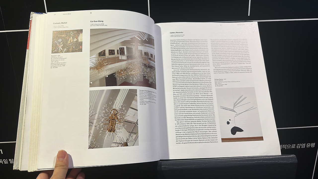 피카소와20세기거장들 (7).jpg