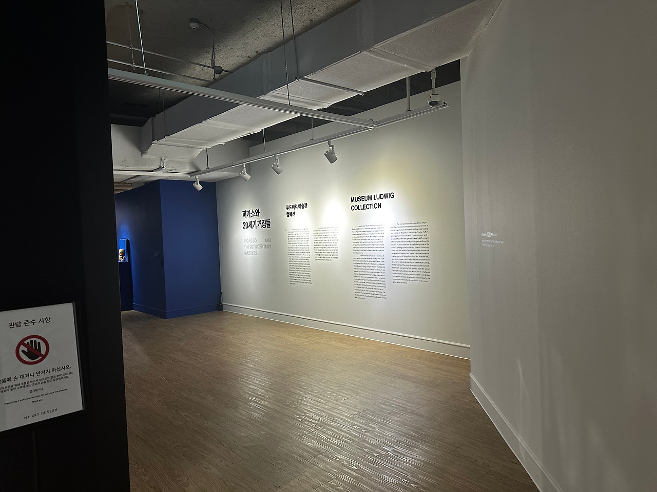 피카소와20세기거장들 (136).jpg