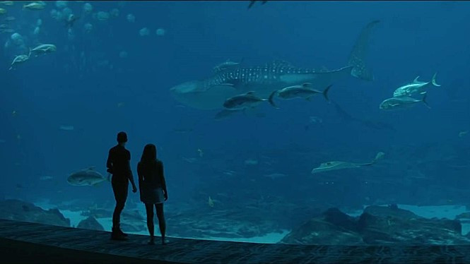 영화 애프터.jpg