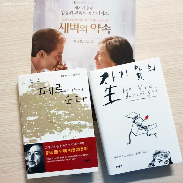 새벽의약속 후기.jpg