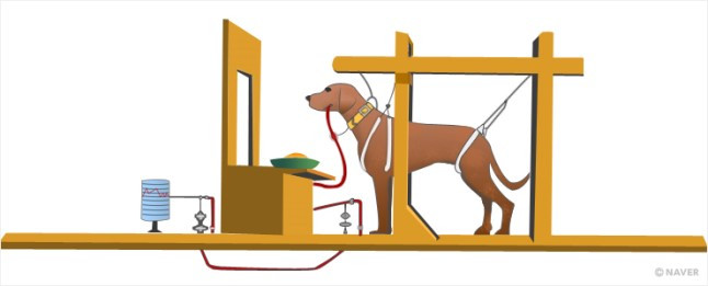 파블로프의 개 조건반사.jpg