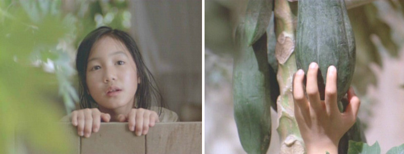 그린파파야향기 줄거리.jpg