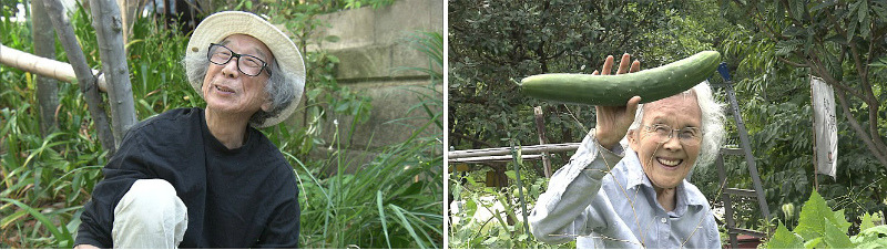 인생후르츠 리뷰.jpg