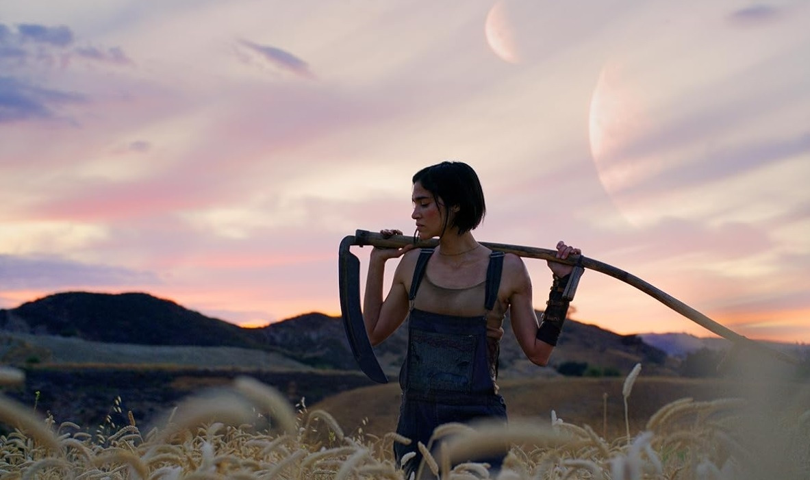 레벨 문 리뷰.jpg