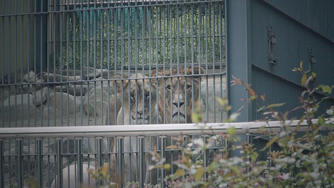 동물원 후기.jpg