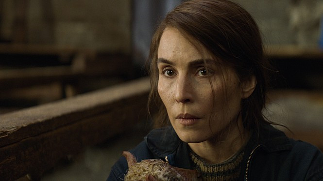 램 아이슬란드 영화.jpg