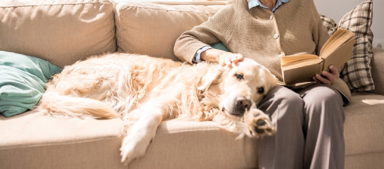 사본 -shutterstock_1290588361.jpg