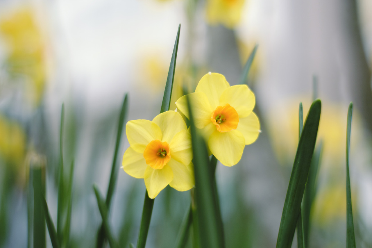 2019_03_20_141312_35 mm_Jongheon_XT3.jpg