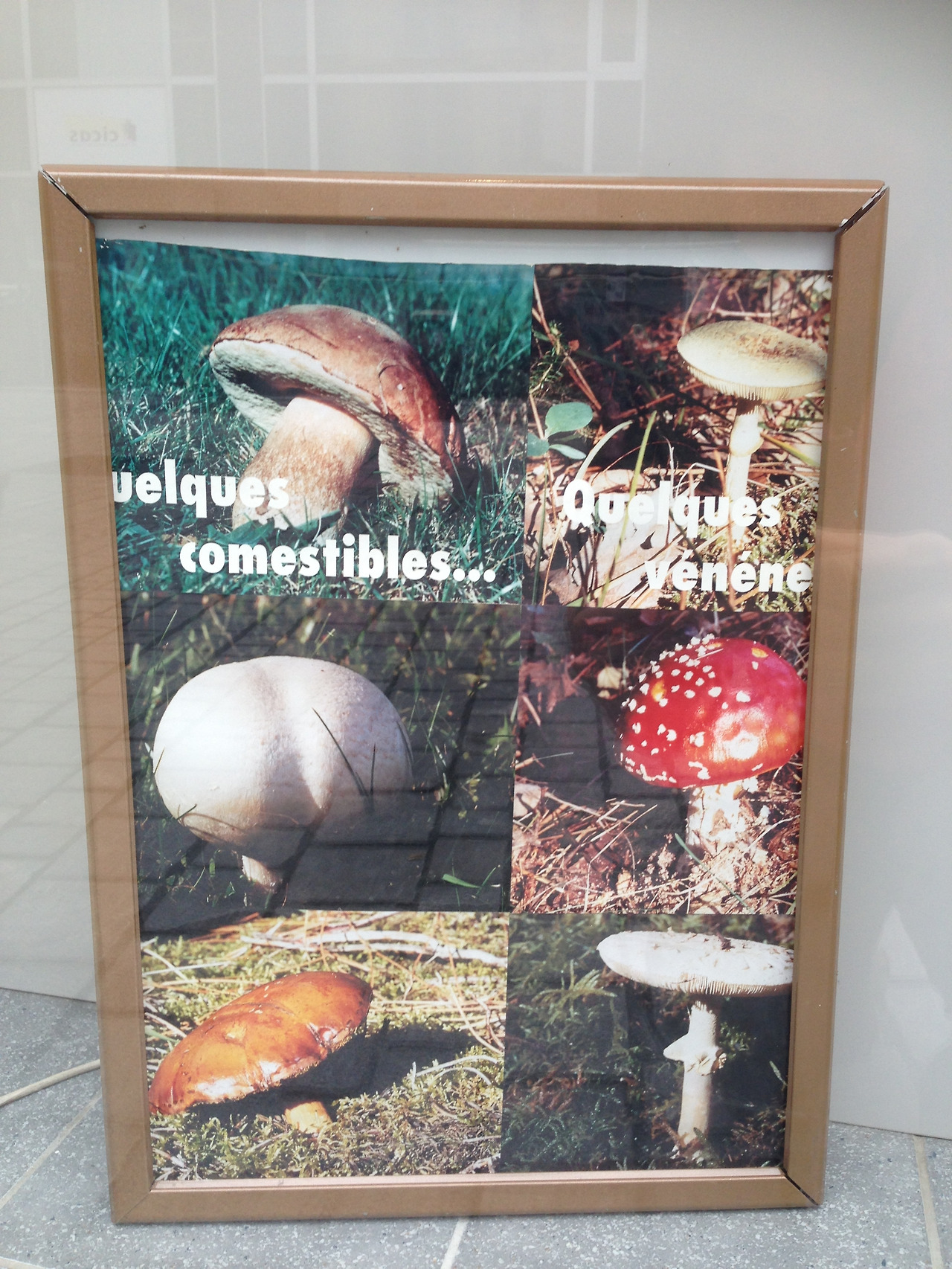 2013가을여행과 미리오넷 665.jpg