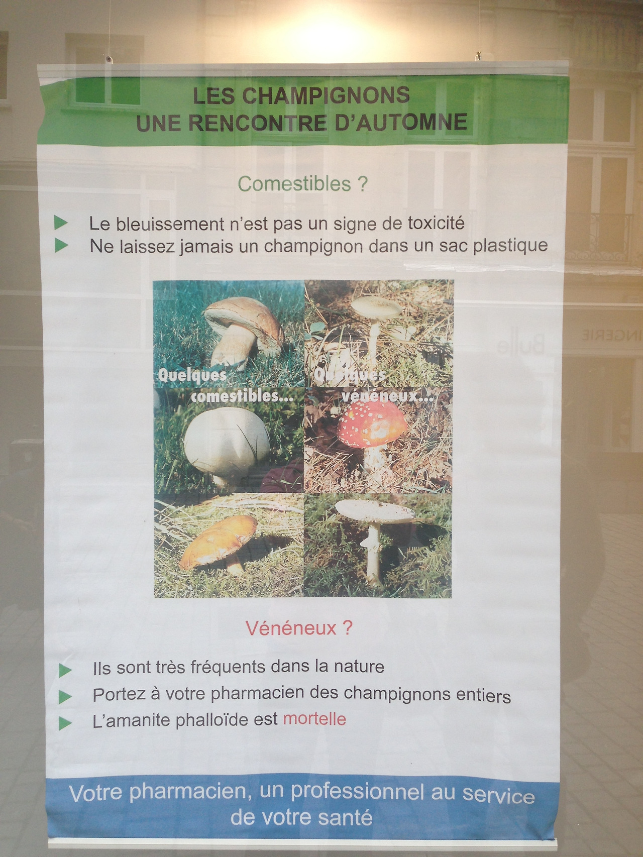 2013가을여행과 미리오넷 663.jpg