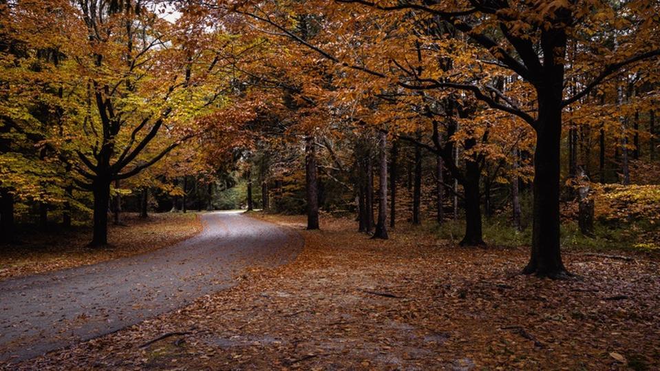 가을 길.jpg