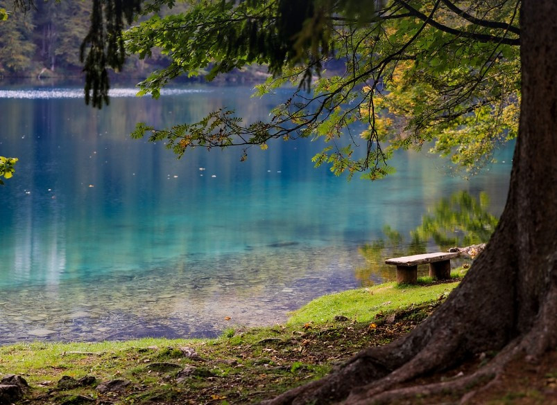 화면 캡처 2025-02-14 205600.jpg