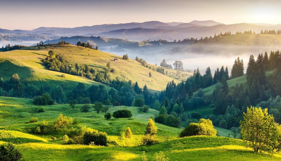 화면 캡처 2025-01-14 112400.jpg