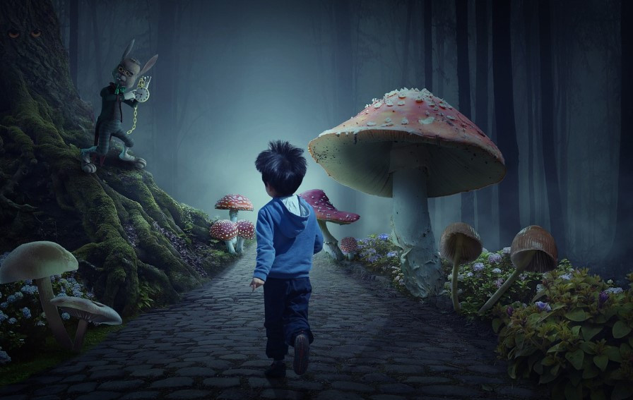 화면 캡처 2024-11-25 080723.jpg