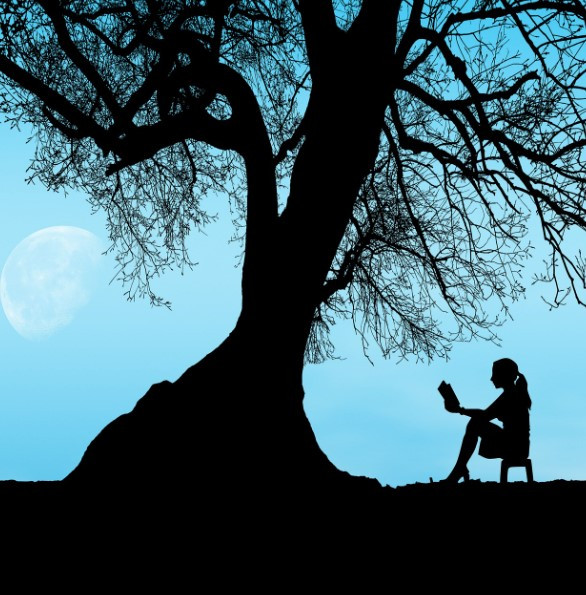 화면 캡처 2024-11-20 205241.jpg