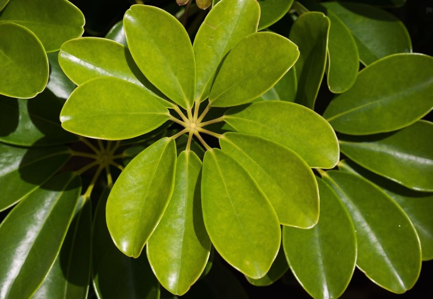 화면 캡처 2025-02-20 200605.jpg