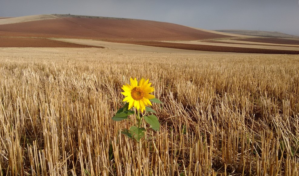 화면 캡처 2025-01-13 172221.jpg