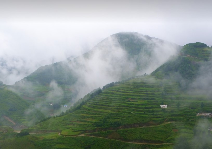 화면 캡처 2025-02-06 154714.jpg