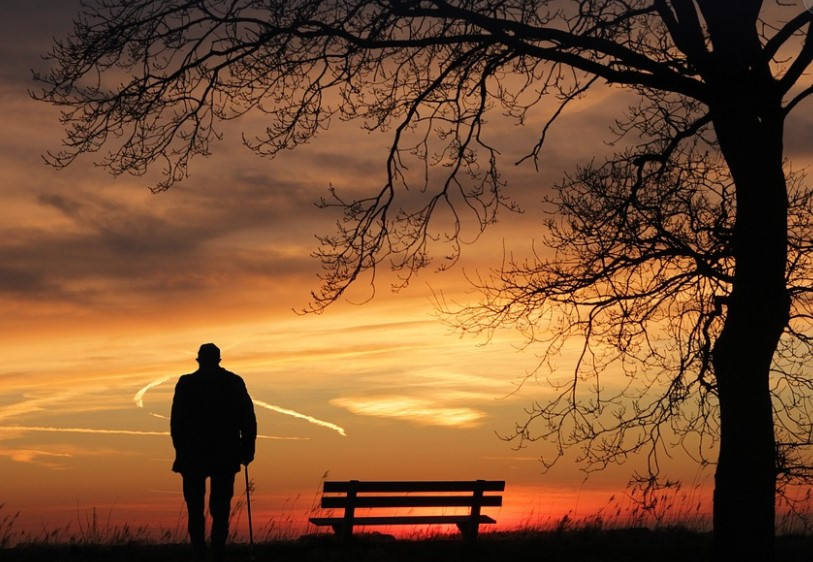 화면 캡처 2024-12-11 215237.jpg