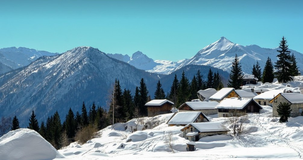 화면 캡처 2025-02-13 171353.jpg