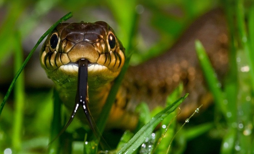 화면 캡처 2024-12-03 205057.jpg