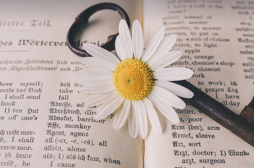 화면 캡처 2025-01-13 102917.jpg