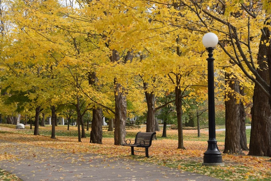 화면 캡처 2025-02-06 144649.jpg