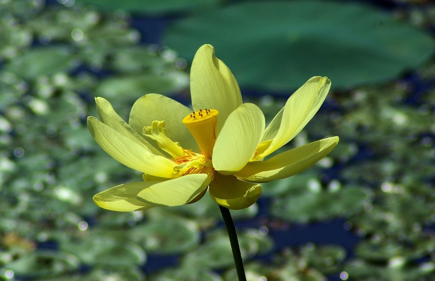 화면 캡처 2025-01-13 105424.jpg