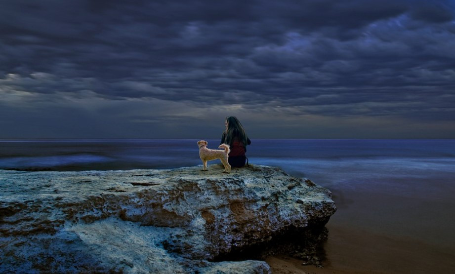 화면 캡처 2025-01-17 161856.jpg