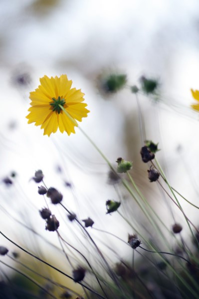 화면 캡처 2025-01-13 093937.jpg