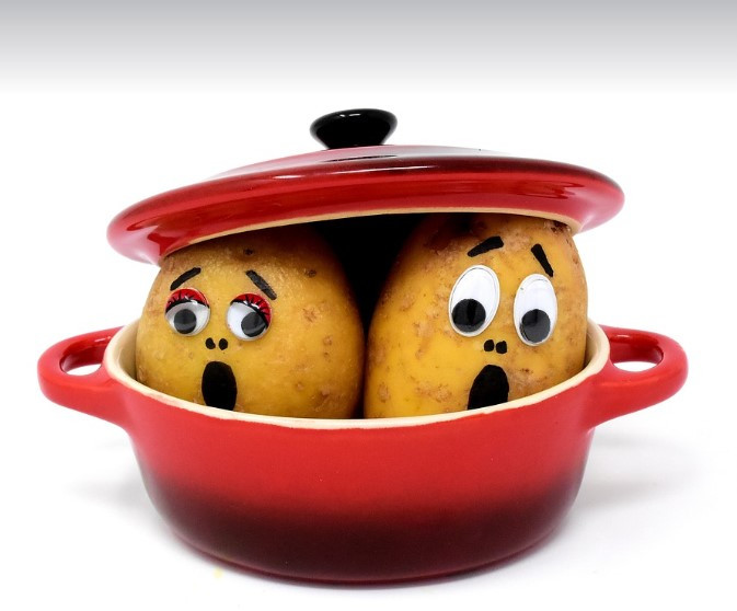 화면 캡처 2024-11-29 170925.jpg