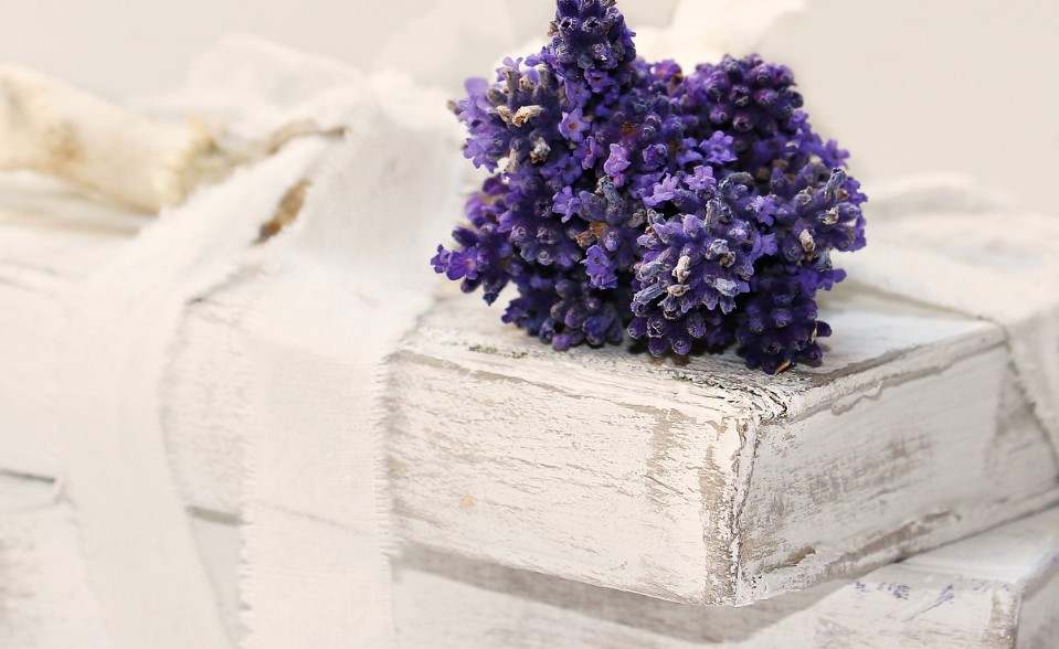 화면 캡처 2025-01-11 112920.jpg