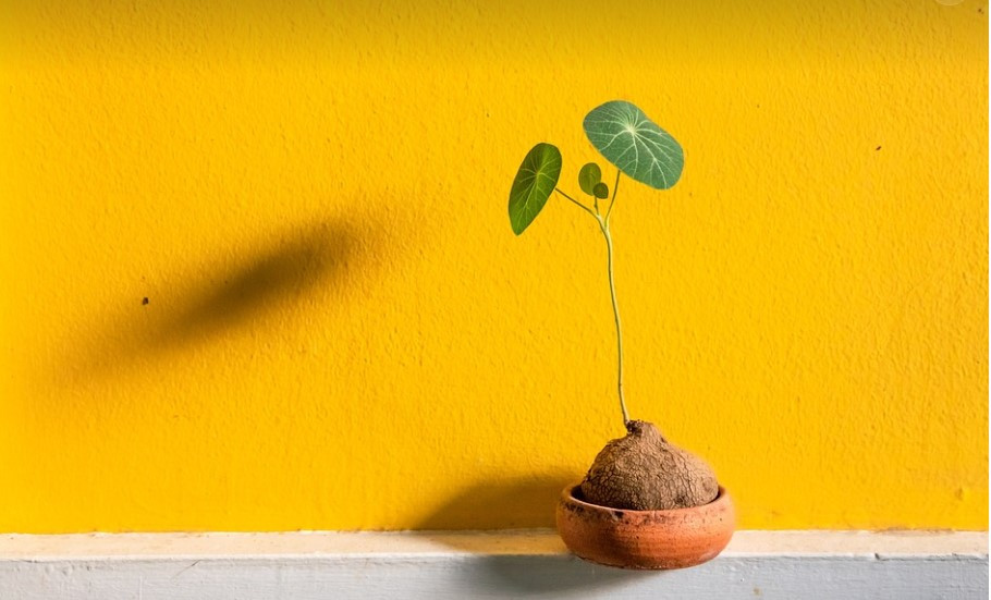 화면 캡처 2025-01-02 165321.jpg