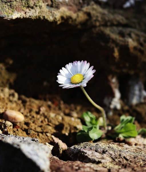 화면 캡처 2025-01-05 140615.jpg