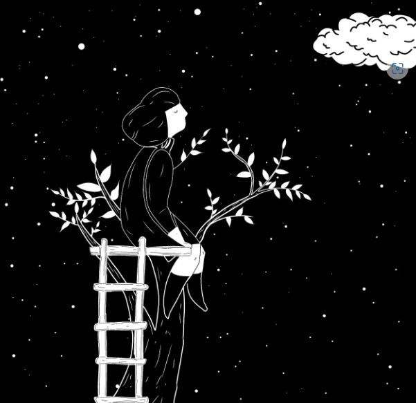 화면 캡처 2024-12-06 201134.jpg