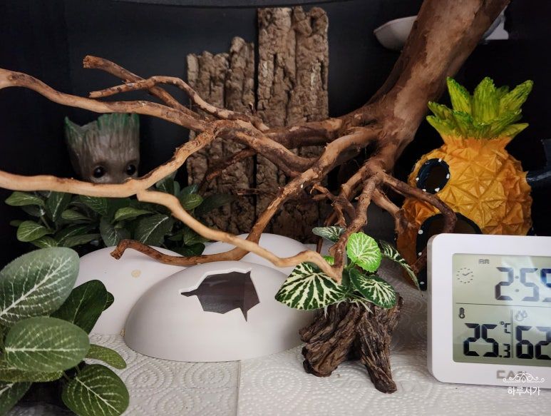 여름이가 사라졌다-빈집 모습.jpg