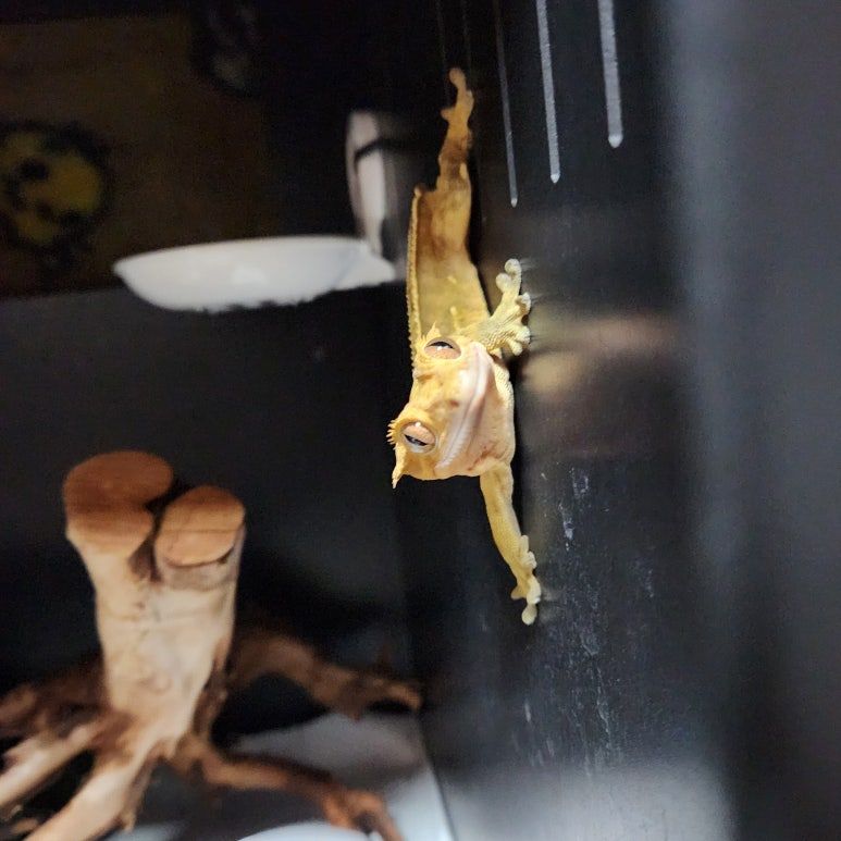 손은 턱 아래 괴고.jpg