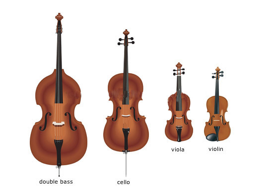 violin-family1.jpg