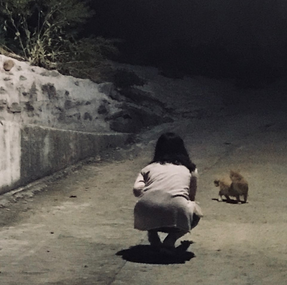 밤, 고양이와 놀다.jpg