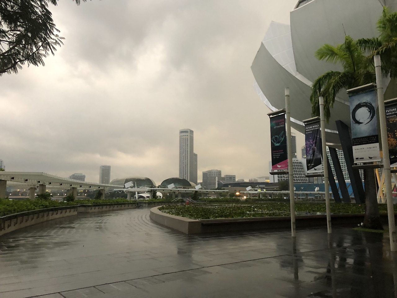 Image from iOS (7).jpg