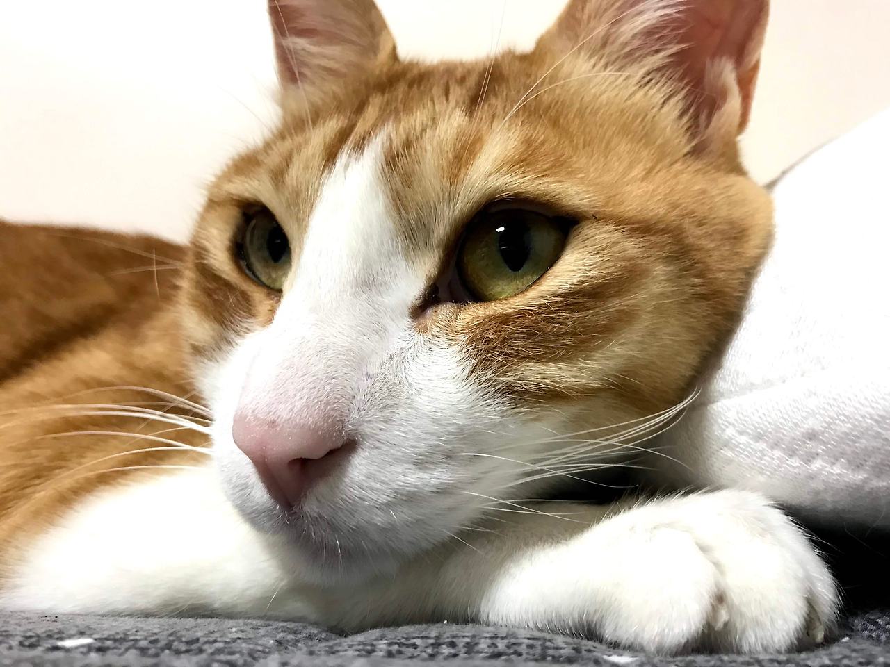 Image from iOS (12).jpg