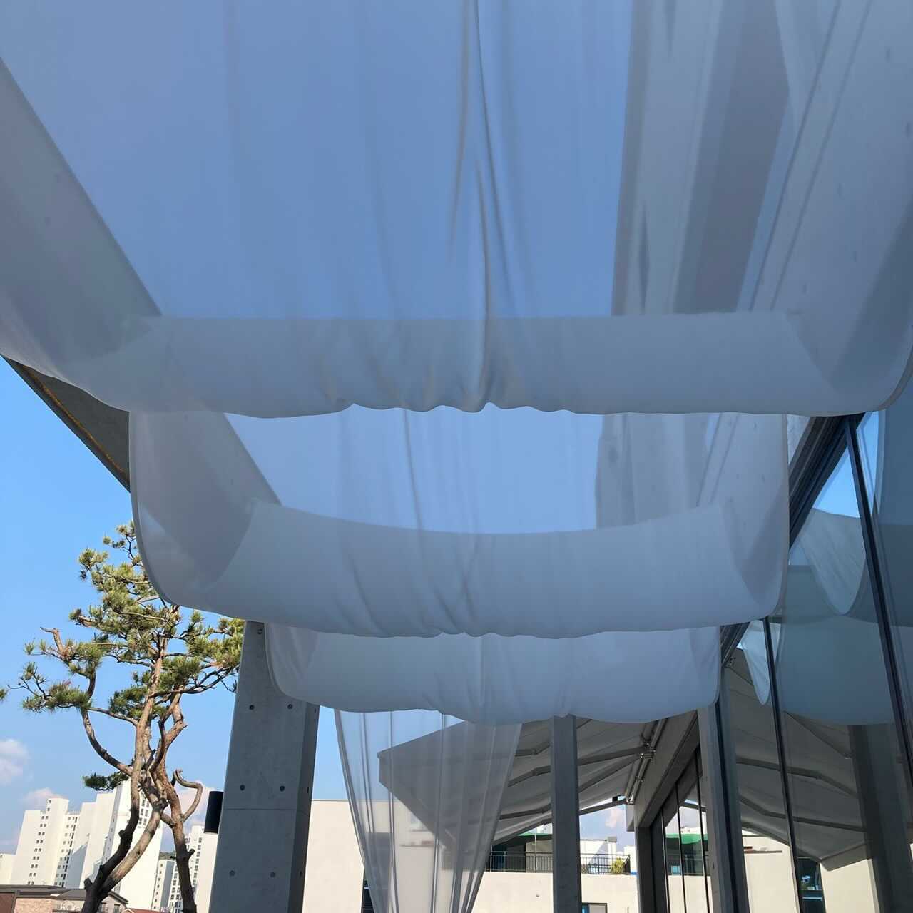 Image from iOS (4).jpg