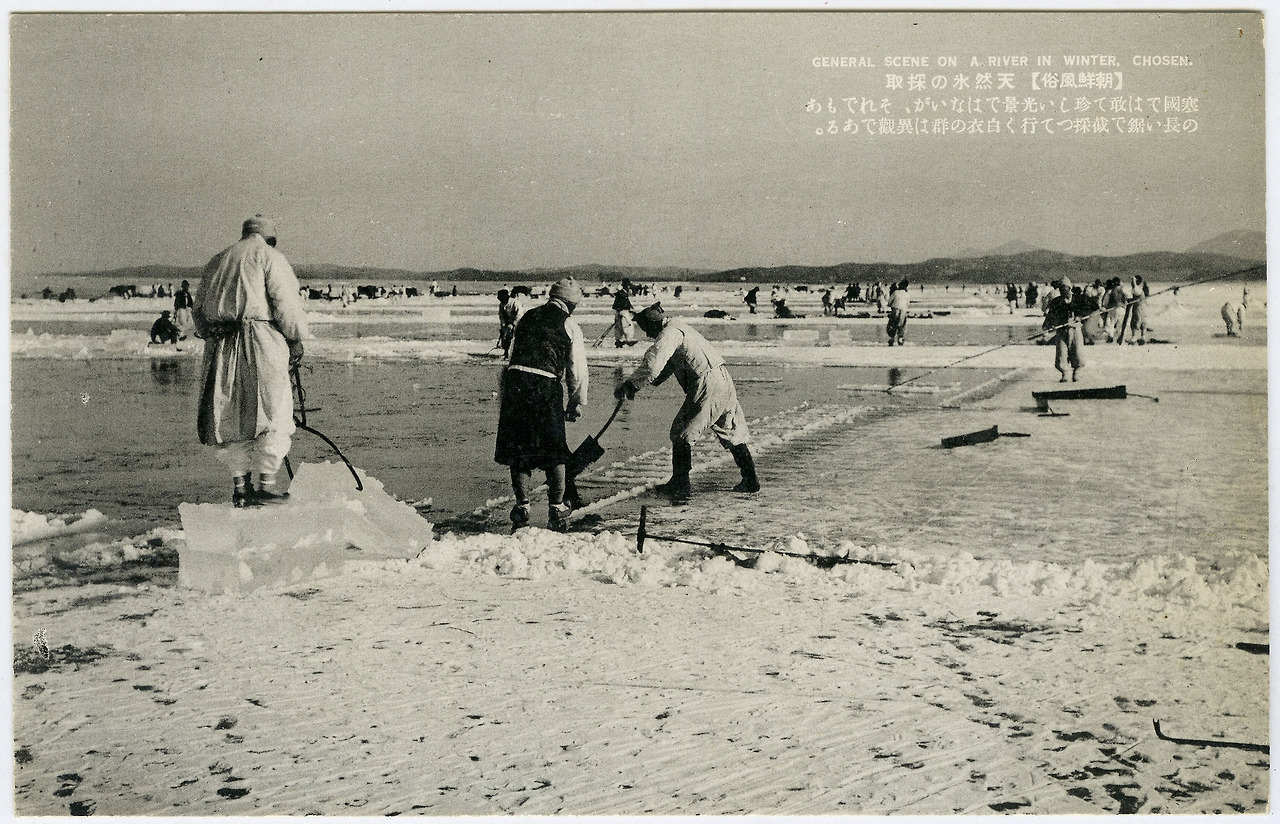 1930년대 겨울철 결빙된 강에서 얼음을 채취하는 사람들.jpg